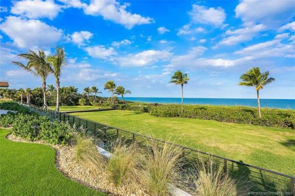 Lush lawn overlooking ocean and palm trees.