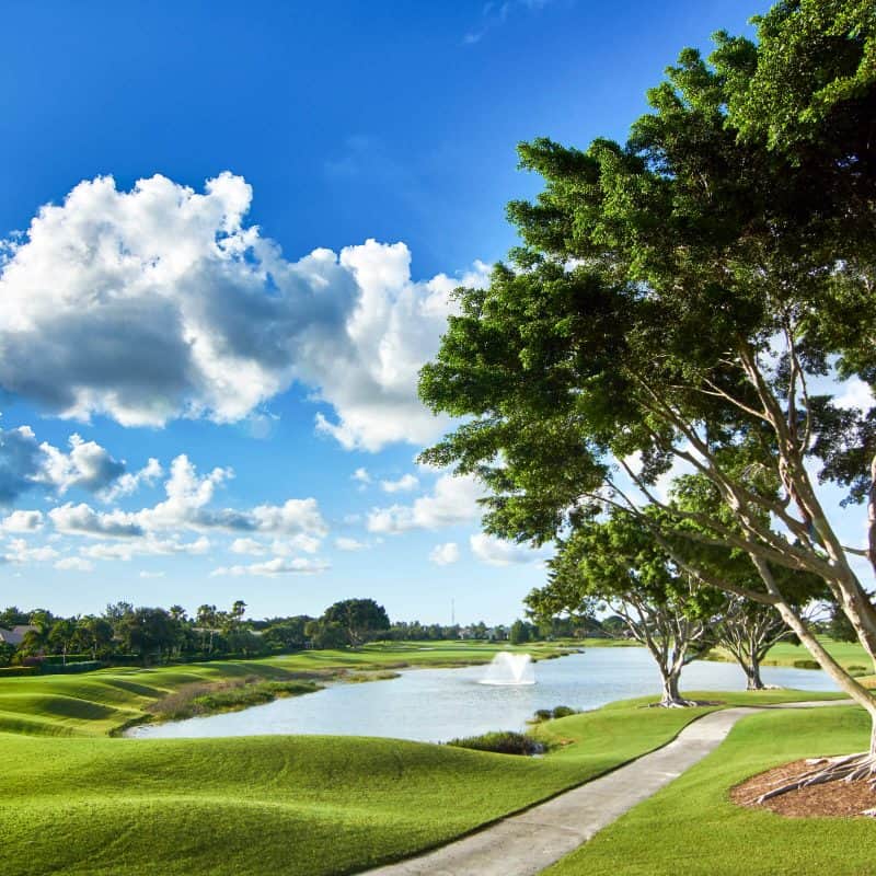 Golf course with tree and pond under blue sky.